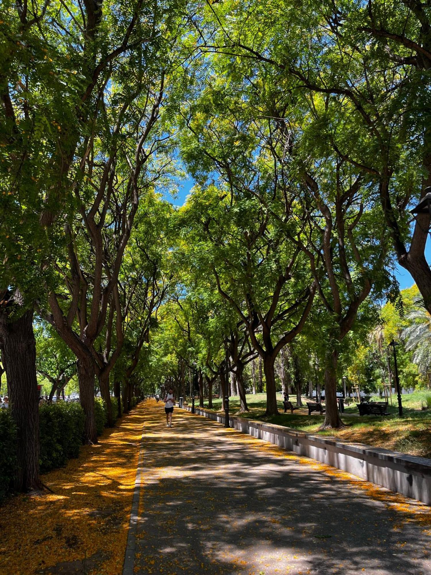 Alojame Valencia Apartment ภายนอก รูปภาพ